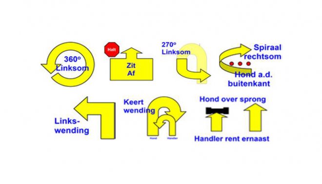 Rally-Obedience (Rally-O)